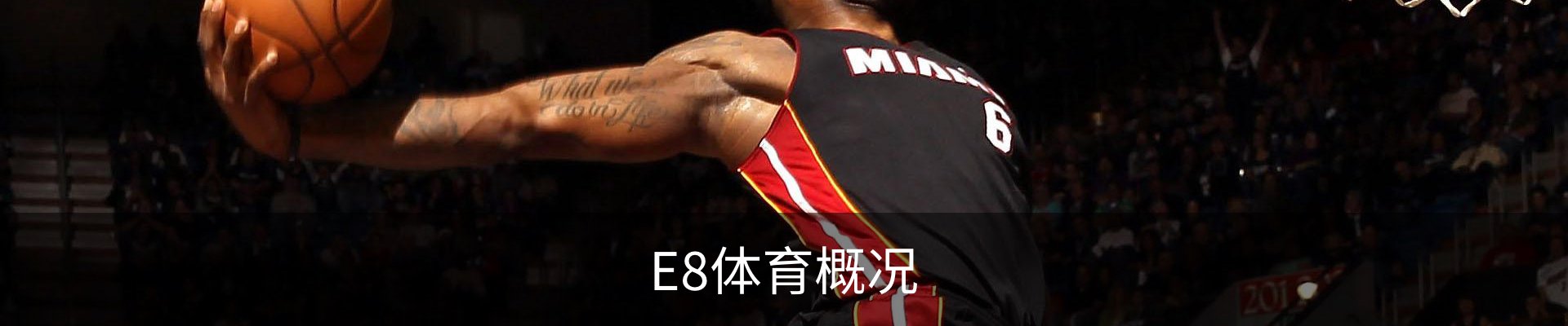 E8体育概况